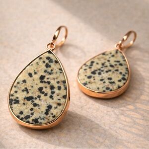 Natural Stone Dalmatian Jasper Drop Earrings